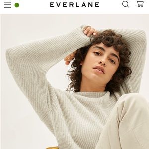 Everlane Oversized Alpaca Crew